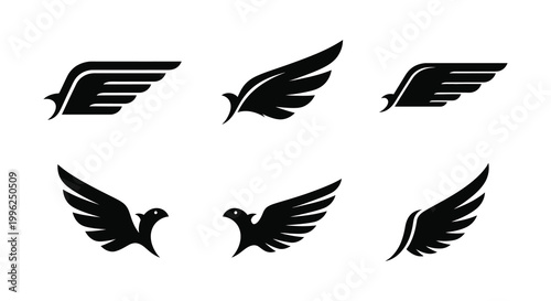 Collection of abstract wing designs in a stark black silhouette