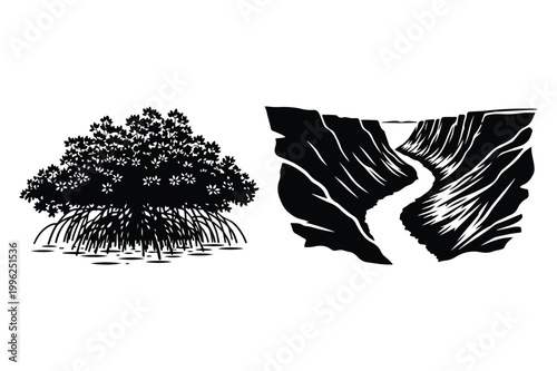 Mangrove tree with exposed roots and river canyon mangrove landscape outdoors