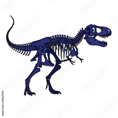Tyrannosaurus Rex Skeleton - Prehistoric Dinosaur Anatomy Illustration