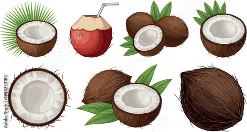Hand drawn coconut collection set with whole and half coconuts tropical fruits isolated vector illustration natural organic food design