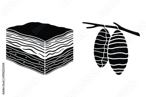 Layered geological formation and cocoa pods on a branch with cross section