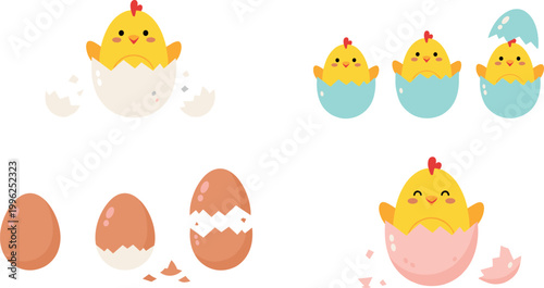 Cute chick hatching from egg vector set with broken shells and baby chicken cartoon illustration collection isolated design