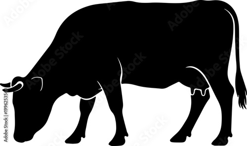 Black silhouette of a cow with its head down grazing on grass, vector illustration