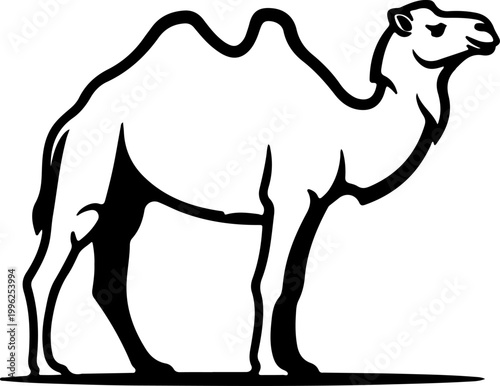 Dynamic black and white line art of a graceful dromedary camel, a resilient symbol of arid desert environments
