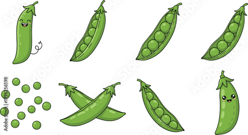Green pea pods and peas vector set including open pods, scattered peas and cute character isolated food illustration collection