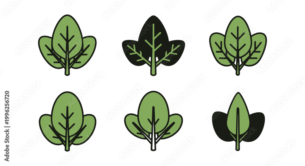 Fototapeta premium Spinach Leaf Plate Line art creative abstract vector