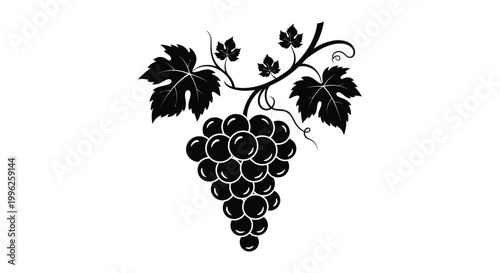 Vintage black and white illustration of grapes and vine