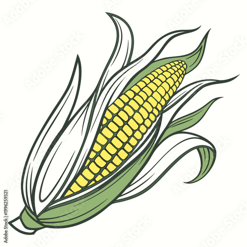 Corn ear with leafy husk food ingredient white background food preparation