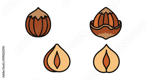 Roasted Hazelnut Line art simple graphic abstract vector