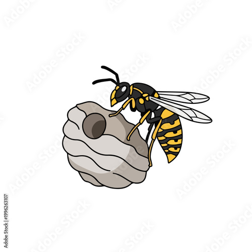 Wasp on a paper nest. Yellowjacket insect and hive. Flat line art graphic isolated on white