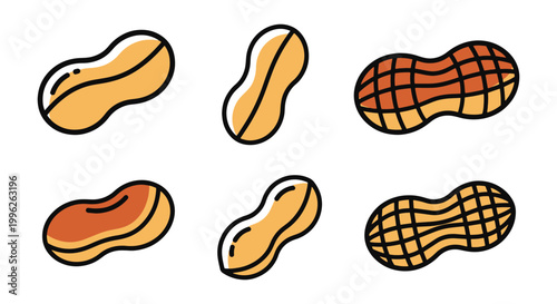 Roasted Peanut Line art vector creative abstract simple
