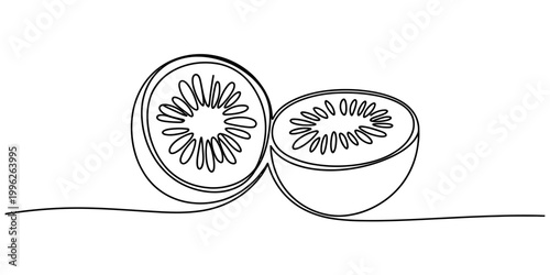 Continuous line drawing of a halved kiwi fruit showing seeds and flesh Vector, illustration