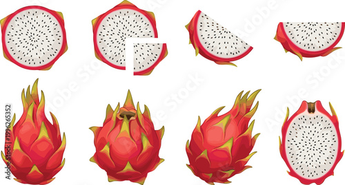 Cartoon vector illustration of dragon fruit showing whole fruits, slices, and cross-sections with vibrant colors