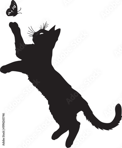 Grace in Motion: The Silent Pounce