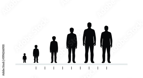 Human growth stages depicted by a series of black silhouettes