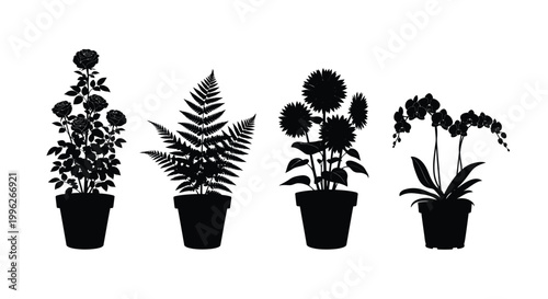 Floral arrangements featuring roses ferns sunflowers and orchids a silhouette