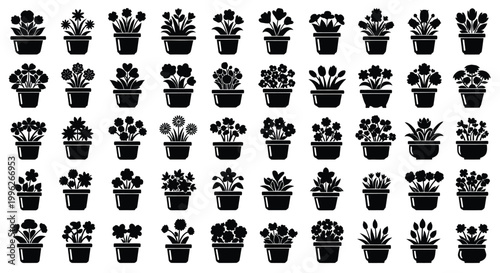 Arrangement of potted plants in a grid pattern black silhouette