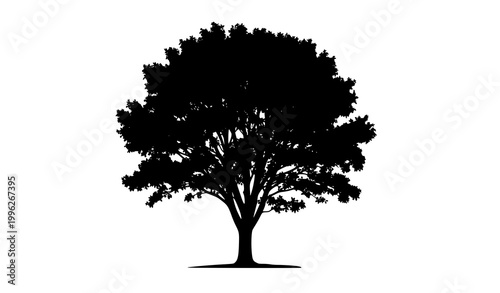 Realistic black tree silhouette vector illustration isolated on white background representing nature forest ecology and environmental design concept