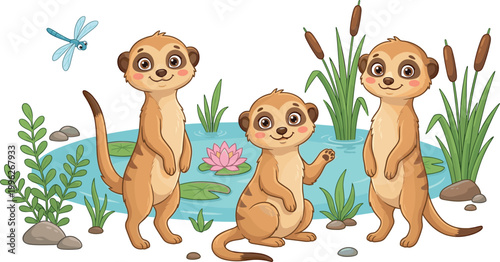 Cute meerkats standing by wetland pond with reeds lily flower and dragonfly vector illustration