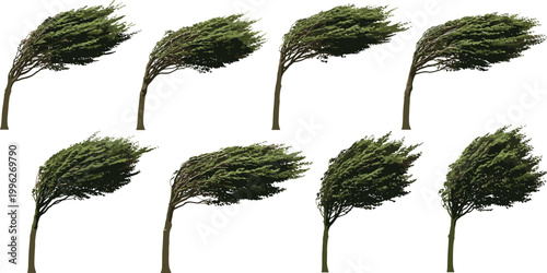 Wind Blown Trees Collection Set Bending Branches Storm Nature Realistic Vector Illustration