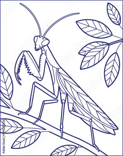 Praying mantis illustration perched on a branch with leaves in a clean line art style with clean lines