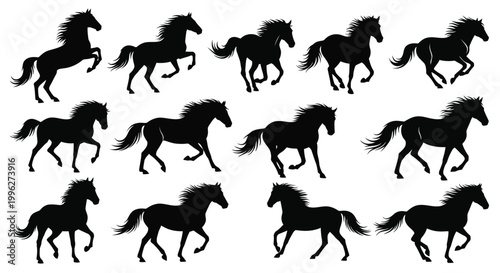 Collection of running horses in various poses a striking black silhouette