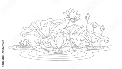 A serene line drawing of lotus flowers.
