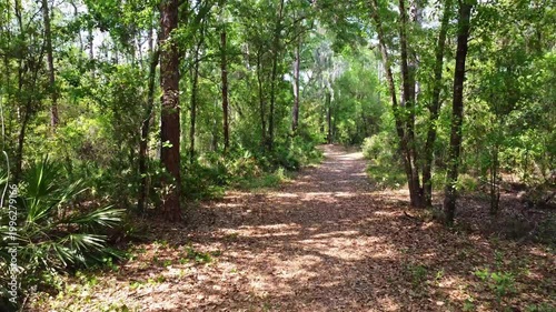 A drone flies over one of the hiking paths in Gator Creek Reserve, just a north of Lakeland in Central Florida. 