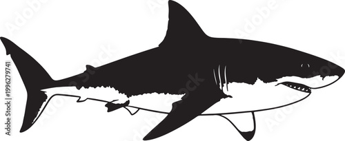 Black shark vector, shark silhouette, ocean predator, marine animal icon