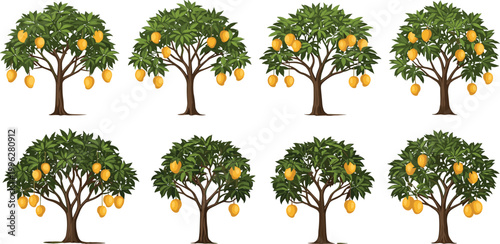Mango trees collection with ripe yellow fruits, tropical orchard plants set with leafy branches isolated on light background realistic vector illustration