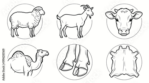 Livestock Sacrifice Animal Anatomy Icons