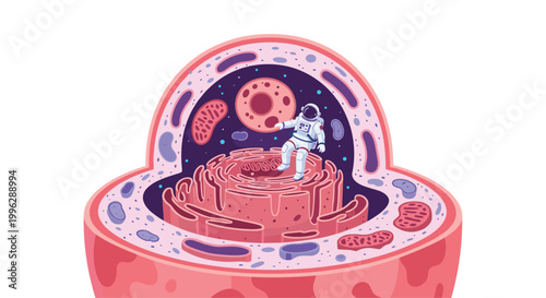 Small astronaut floats within a large detailed cross section of a biological cell exploring the organelles and nucleus.
