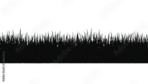 Grass blades grow in a dense field to create a natural landscape texture for environmental backgrounds.