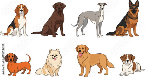 Dog breeds cartoon set in flat style. Cute domestic pet collection. Different puppies and adult dogs for animal design, stickers, and character illustration use.