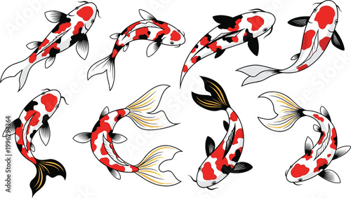Koi fish vector collection in dynamic poses. Japanese ornamental carp illustrations. Red, black and white koi swimming set for tattoo, art and design use.
