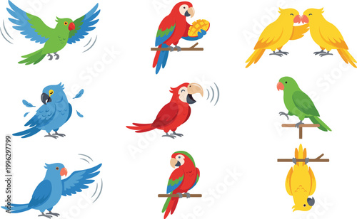Cartoon Parrot and Bird Vector Set with Colorful Tropical Species in Flying, Perching and Interaction Poses for Wildlife, Kids and Nature Design