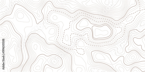 Light topographic topo contour map background. Geographic abstract grid. vector illustration.Luxury abstract Topographic line map.Pattern of contour lines.
