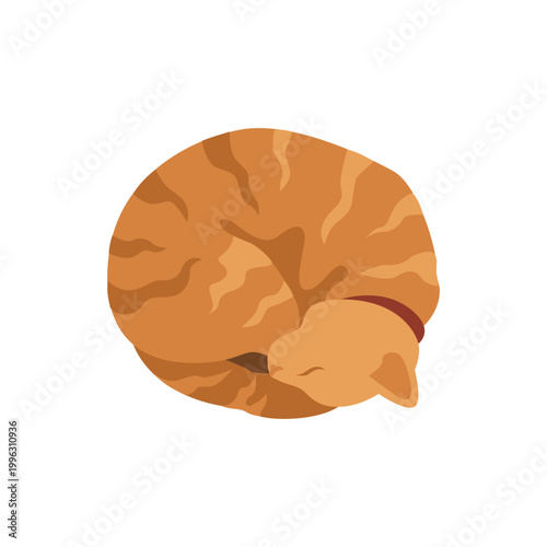 Hand-drawn autumn illustration of red cozy sleeping domestic cat for packaging and fall vibes cozy projects