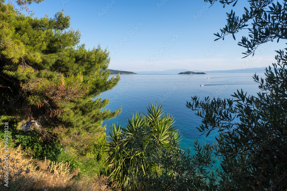 Obraz premium The town of Skiathos, Sporades, Thessaly, Greece