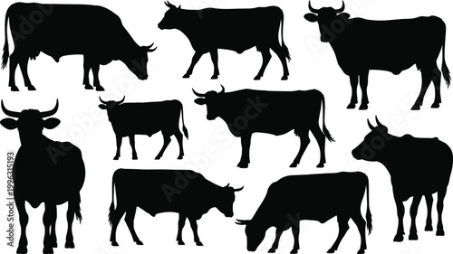 Black silhouette vector collection of farm cows, dairy cattle, grazing bulls, and agriculture livestock animals for graphic design project backgrounds.