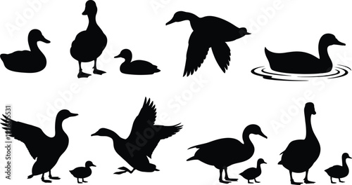 Black silhouette vector collection of flying ducks, swimming geese, walking ducklings, and wild water birds for nature wildlife graphic designs.
