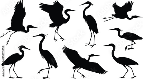 Black silhouette vector collection of flying herons, standing cranes, and wild egret water birds for nature wildlife graphic design projects.