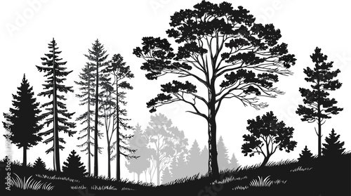 Layered Forest Landscape Vector, Depth Nature Trees Background Decorative Forest Vector Pattern, Nature Trees Seamless, Simple Tree Outline Illustration