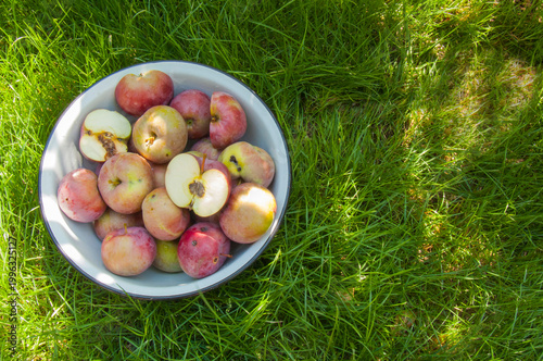 Ripe garden apples in an enamel bowl on green grass, sliced fruitsОпис (Description)