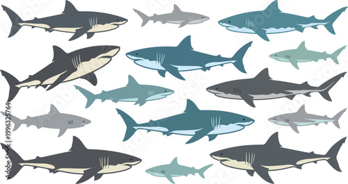 Photography Collection of shark silhouettes featuring various species in different poses, ma