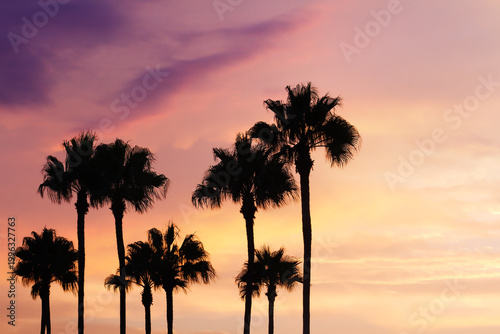 Serene sunset in orange and purple hues with palm tree silhouettes, Orange County, California