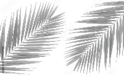 Abstract halftone shadow overlay, black shadow of two tropical palm leaves on light transparent background for mock up, and design.