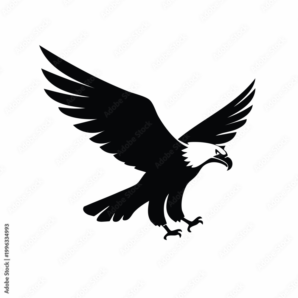 Fototapeta premium A soaring eagle spreads its wings in mid flight outdoors