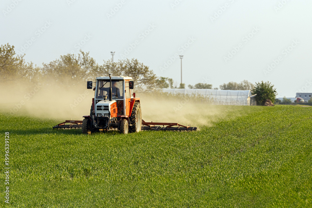 Fototapeta premium Tractor works on field during daylight near green crops with dust rising from ground
