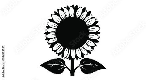Detailed sunflower silhouette with leaves isolated on white background, black and white floral design for summer and harvest themes.